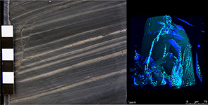 Sedimentkern mit viel organischem Kohlenstoff - rechts: Fluoreszierende Kohlenwasserstoffeinschlüsse in einem Gestein