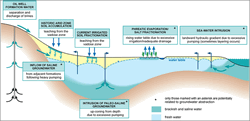 Origins of groundwater salinity