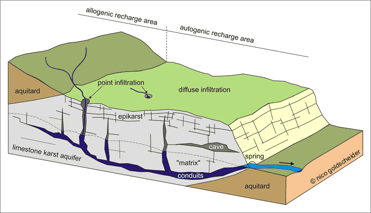 Block diagram of a heterogeneous karst aquifer illustrating the duality of recharge