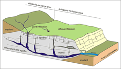 Block diagram of a heterogeneous karst aquifer illustrating the duality of recharge